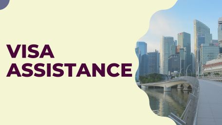Seamless Visa Assistance